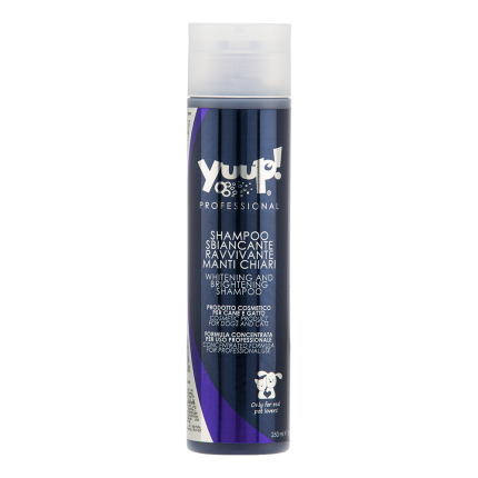 Yuup Professional Shampooing poils blancs éclaircissant 250 ml DDM 09/25