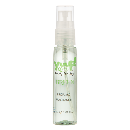 "Yuup Home Parfum sans alcool ""Color your style"" vert 30 ml"