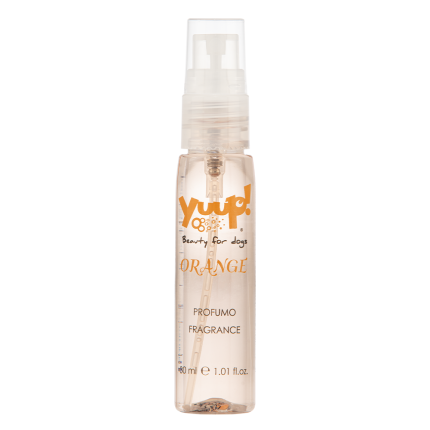 "Yuup Home Parfum sans alcool ""Color your style"" orange 30 ml"