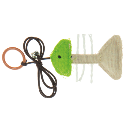 Imac poisson sur elastique