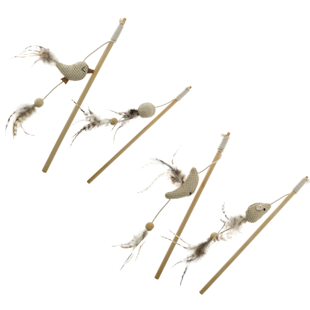 IMIGN601.png