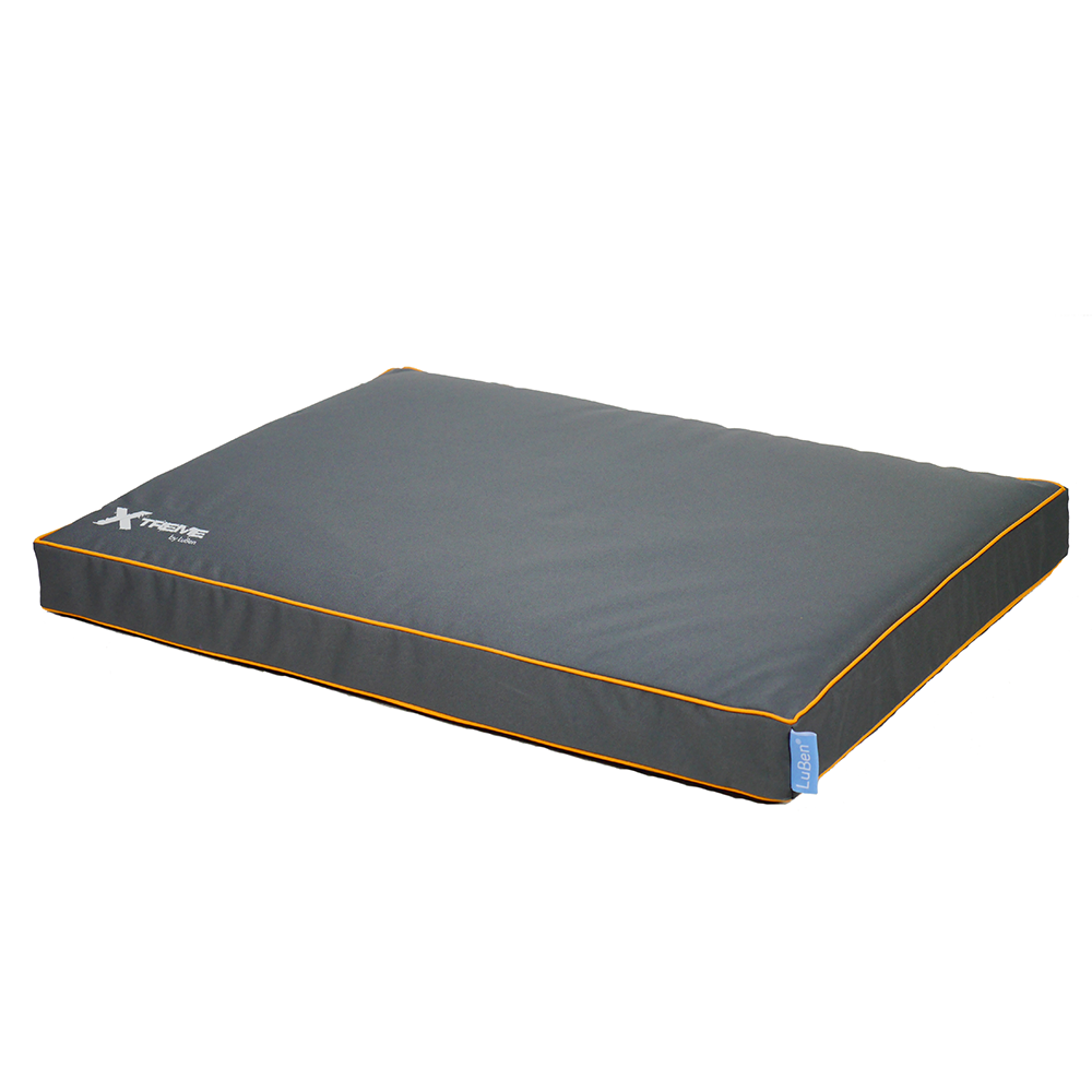 LUX02302.png