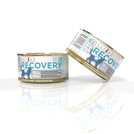 Refine chat Vet Diet convalescence bte 80g mousse poulet avec saumon