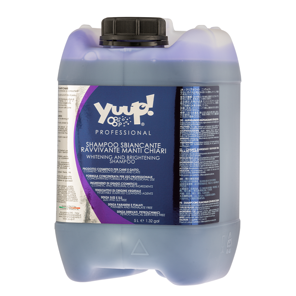 YUPSC5.png