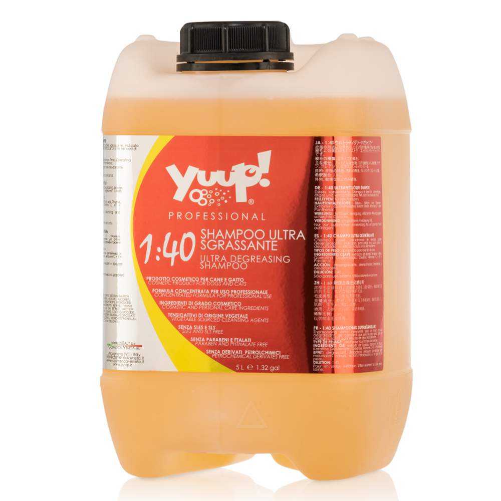YUPSS10.png