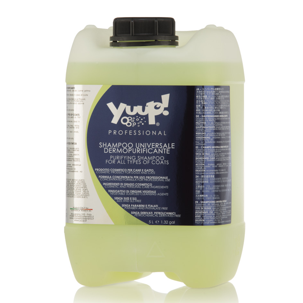 YUPSU10.png
