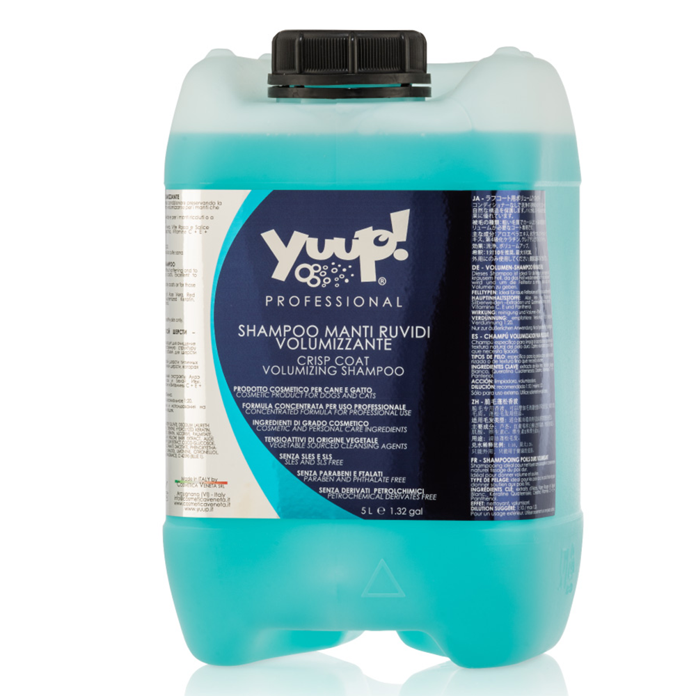 YUPSV10.png
